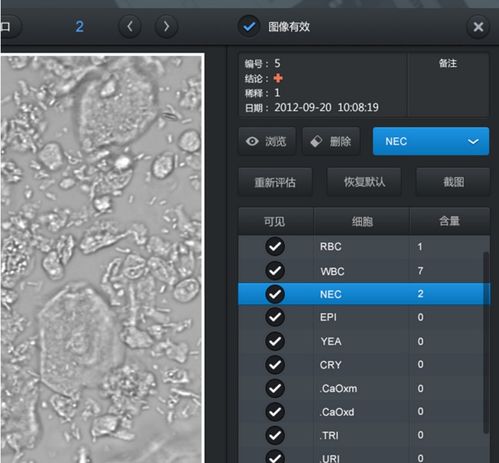 醫(yī)療系統(tǒng)UI界面設計 重塑醫(yī)患體驗的關鍵